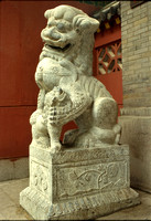 China 2006